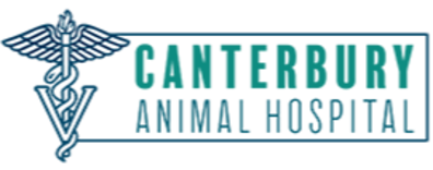 Canterbury Animal Hospital-HeaderLogo